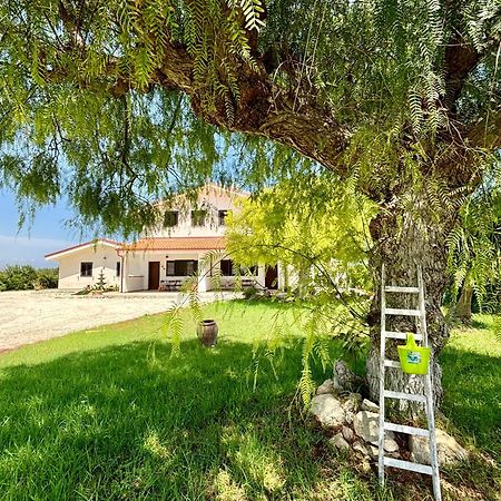 Villa Andrea San Lorenzo Noto Exteriér fotografie